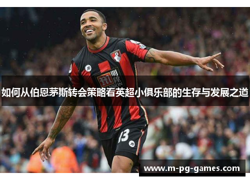 如何从伯恩茅斯转会策略看英超小俱乐部的生存与发展之道