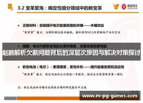 赵鹏解析欠薪问题背后的深层次原因与解决对策探讨