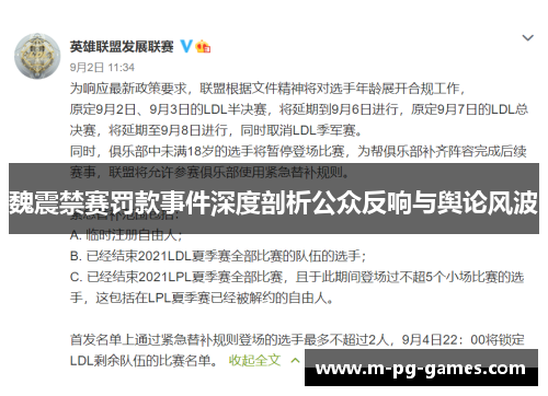 魏震禁赛罚款事件深度剖析公众反响与舆论风波